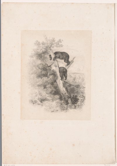 Två björnar i ett träd Landskap med djur (serietitel) av Karl Bodmer