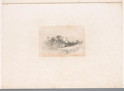 Två hägrar vid vattnet Landskap med djur (serietitel) av Karl Bodmer