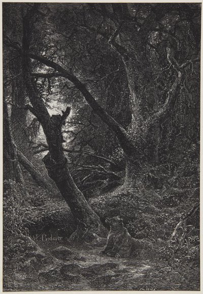 Två björnar i skogen av Karl Bodmer