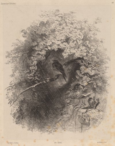 Ett skydd, 1858. av Karl Bodmer