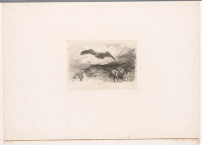 flygande örn Landskap med djur (serietitel) av Karl Bodmer