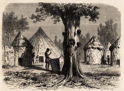Krigets träd, i en by Djour, Bahr-el-Gazal-regionen, Sudan, teckning av Karl Girardet (1813-1871) för att illustrera resan till floden av gasellerna i A. Bolognesi, 1856-1857. Gravyr i "" Le tour du monde"", redigerad av Edouard Charton av Karl Girardet