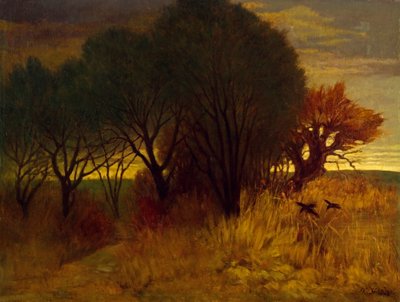Moorlandskap av Karl Haider