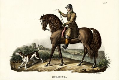 Spansk jägarhäst, 1824 av Karl Joseph Brodtmann