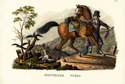Schweizisk häst, 1824 av Karl Joseph Brodtmann