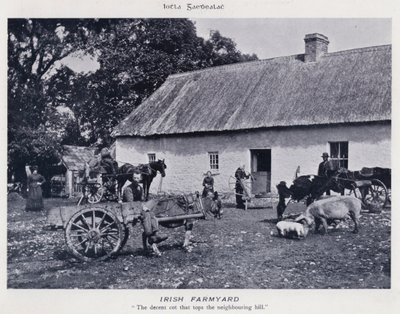 Irish Farmyard (s/v foto) av Karl Karlovich Piratsky