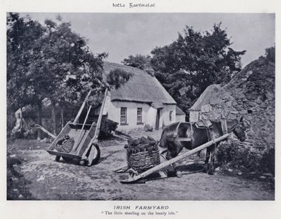 Irish Farmyard (s/v foto) av Karl Karlovich Piratsky
