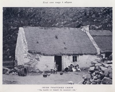 Irish Thatched Cabin (s/v foto) av Karl Karlovich Piratsky