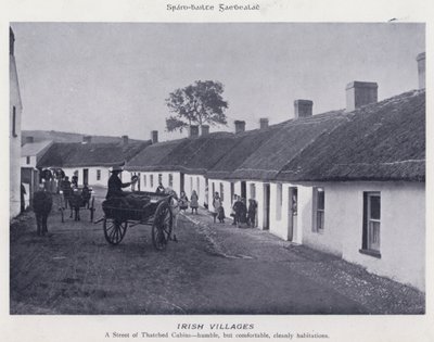 Irish Villages (s/v foto) av Karl Karlovich Piratsky