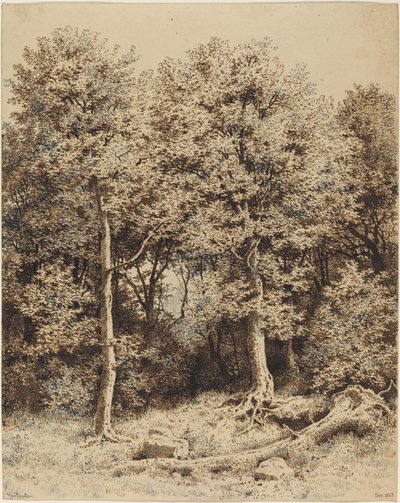 En skog av träd av Karl Theodor Reiffenstein