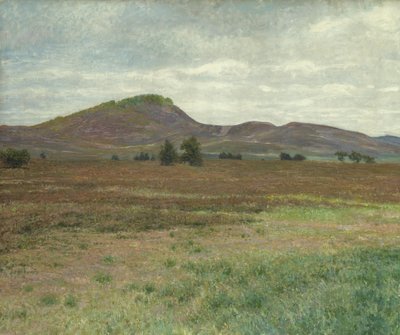Landskap nära Harburg (olja på duk) av Karl Wilhelm Arthur Illies