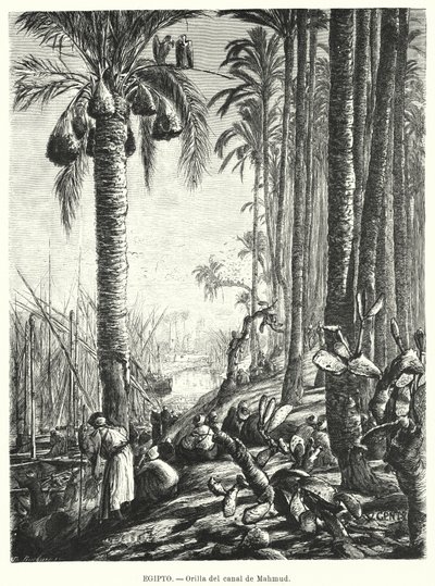 Bankerna vid Mahmoudiyah-kanalen, Egypten (litho) av Karl Wilhelm Gentz