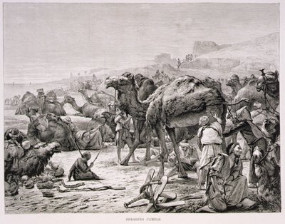 Klippning av kameler av Karl Wilhelm Gentz