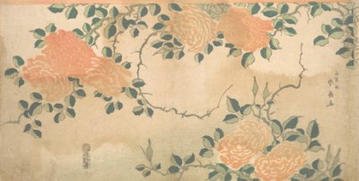 Rosor, ca. 1810. av Kashosai Shunsen