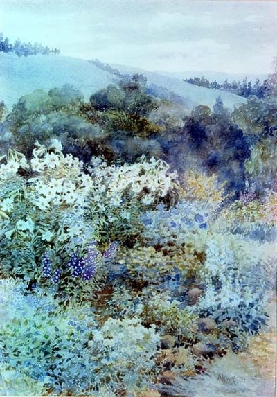 I en sydafrikansk trädgård, ca 1900-10 (akvarell) av Kate Haith