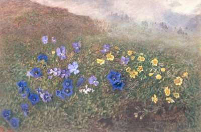 Vårbergsblommor, 1896 av Kate fl.1873 96 Goodwin