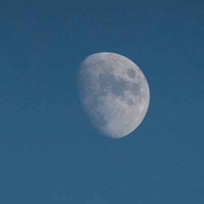 Titta på månen, 2021 (foto) av Katha Wood