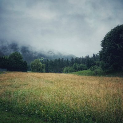 Misty Mountains, 2021 (foto) av Katha Wood