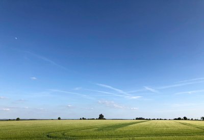 Summer Crop 2018 av Katha Wood