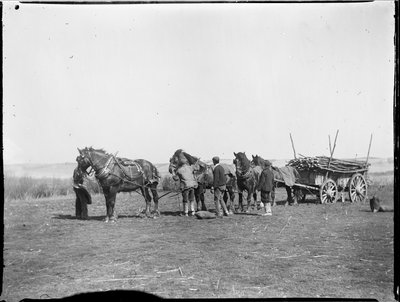 Broomfield, Broomfield And Kingswood, Maidstone, Kent, 1904-04-06 (s/v foto) av Katherine Jean Macfee