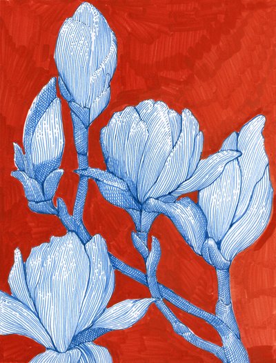 Djärva blå magnolior av Katie O'Shea