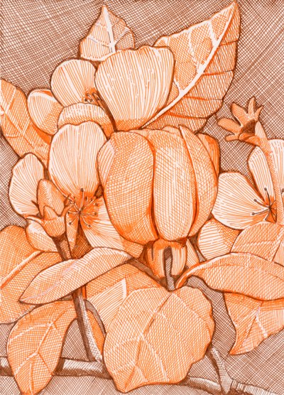 Skrafferade orange blommor av Katie O'Shea