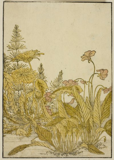 Vårblommor: violer och maskrosor, från boken "Mirror of Beautiful Women of the Pleasure Quarters (Seiro bijin awase sugata kagami)," vol. 1 av Katsukawa Shunsho