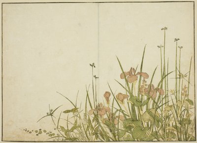 Sommarblommor: Iris och vattenplantainer, från boken "Mirror of Beautiful Women of the Pleasure Quarters (Seiro bijin awase sugata kagami)," vol. 1 av Katsukawa Shunsho