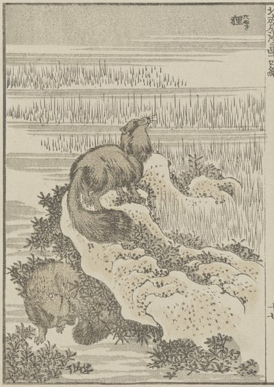 Grävling, ca 1840 (träsnitt) av Katsushika Hokusai