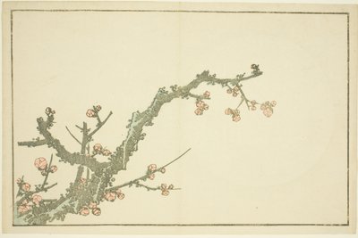 Blooming Plum Tree, från The Picture Book of Realistic Paintings of Hokusai (Hokusai shashin gafu) av Katsushika Hokusai