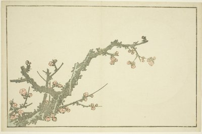 Blommande plommonträd, från The Picture Book of Realistic Paintings of Hokusai (Hokusai shashin gafu), ca 1814 (träsnitt i färg (albumblad)) av Katsushika Hokusai