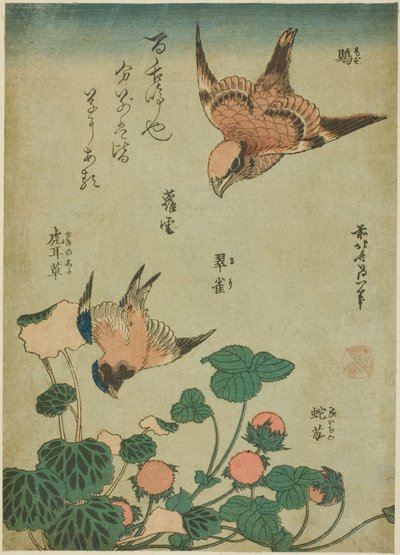 Tjurhövdad Shrike och Bluebird med Saxifrage och Wild Strawberry (Mozu, ruri, yukinoshita, hebi-ichigo), från en namnlös serie av blommor och fåglar av Katsushika Hokusai