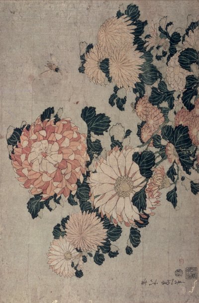 Krysantemum (träblock i färg) av Katsushika Hokusai