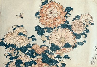 Krysantemum (trätryck i färg) av Katsushika Hokusai
