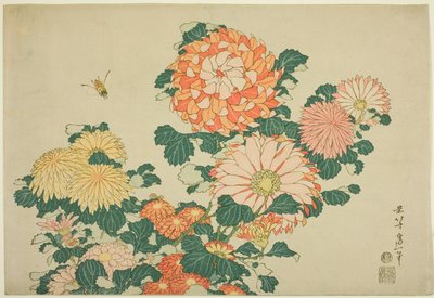 Krysantemum och bi, från en namnlös serie stora blommor av Katsushika Hokusai