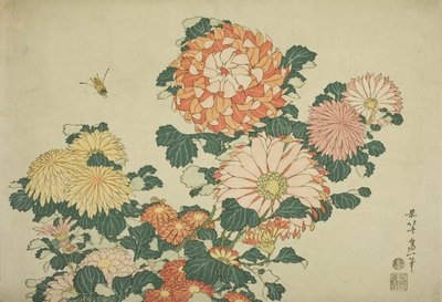 Chrysanthemums and Bee, från en namnlös serie stora blommor, ca 1833-34 av Katsushika Hokusai