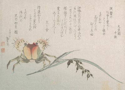 Krabba och risväxt, 1800-talet. av Katsushika Hokusai