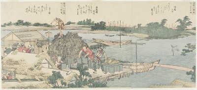 Kran- och tallfältet vid Shirahige, Taya vid Hashiba av Katsushika Hokusai