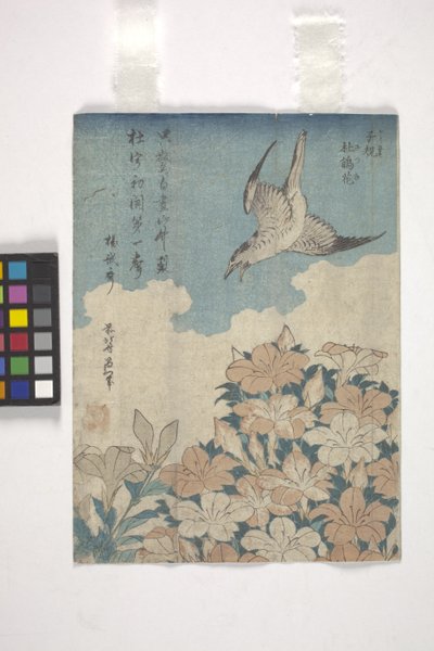 Gök och Azalea (träsnitt i färg) av Katsushika Hokusai