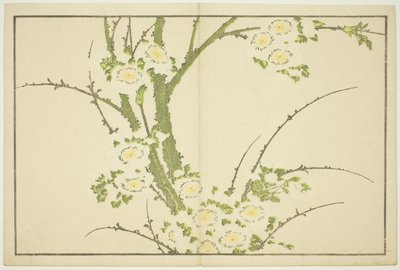 Blommor, från The Picture Book of Realistic Paintings of Hokusai (Hokusai shashin gafu) av Katsushika Hokusai