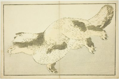 Fox, från The Picture Book of Realistic Paintings of Hokusai (Hokusai shashin gafu) av Katsushika Hokusai