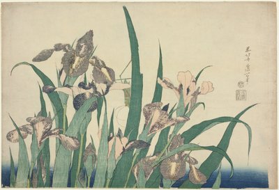 Iris och gräshoppa, från en namnlös serie stora blommor av Katsushika Hokusai