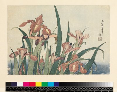 Iris och gräshoppa, utgiven av Nishimura Eijudo, ca 1832, (yoko-e - horisontellt format, träsnitt i färg) av Katsushika Hokusai
