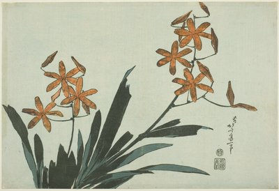 Orange orkidéer, från en namnlös serie av blommor av Katsushika Hokusai