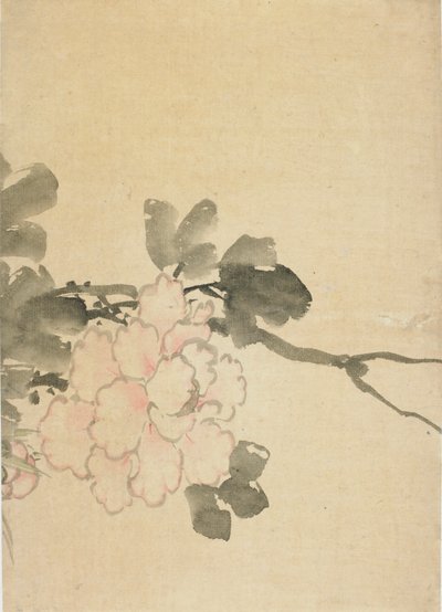 Pion, sent 1700-tidigt 1800-tal. av Katsushika Hokusai