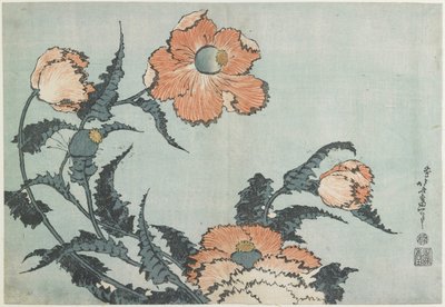 Vallmo, c. 1832 av Katsushika Hokusai