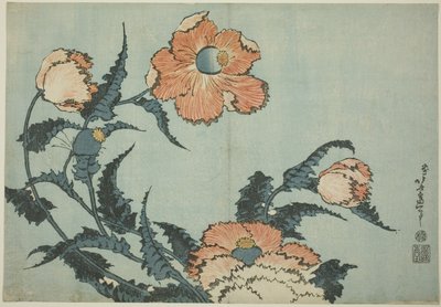 Vallmo, från en namnlös serie av blommor av Katsushika Hokusai
