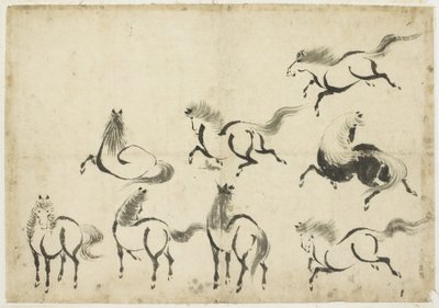 Studies of Horses, c.1815-1849 (bläck på papper) av Katsushika Hokusai