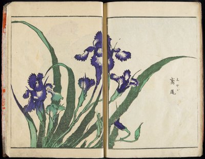 Att förmedla andan och avslöja tingens gestalt: Hokusais bildträdgård, vol. 1, komplett av Katsushika Hokusai