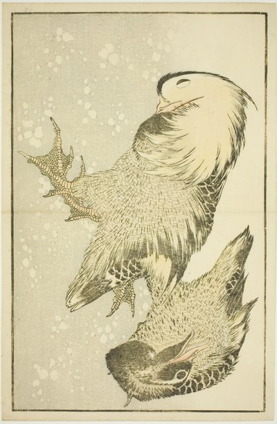 Two Waterfowl, från The Picture Book of Realistic Paintings of Hokusai (Hokusai shashin gafu) av Katsushika Hokusai